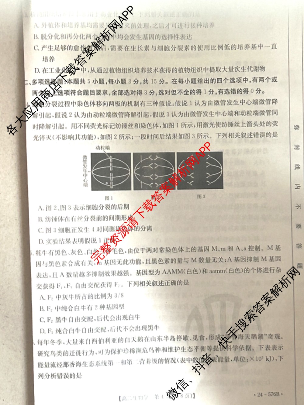 邯郸市2024高二第二学期期末考试(576B)生物试题