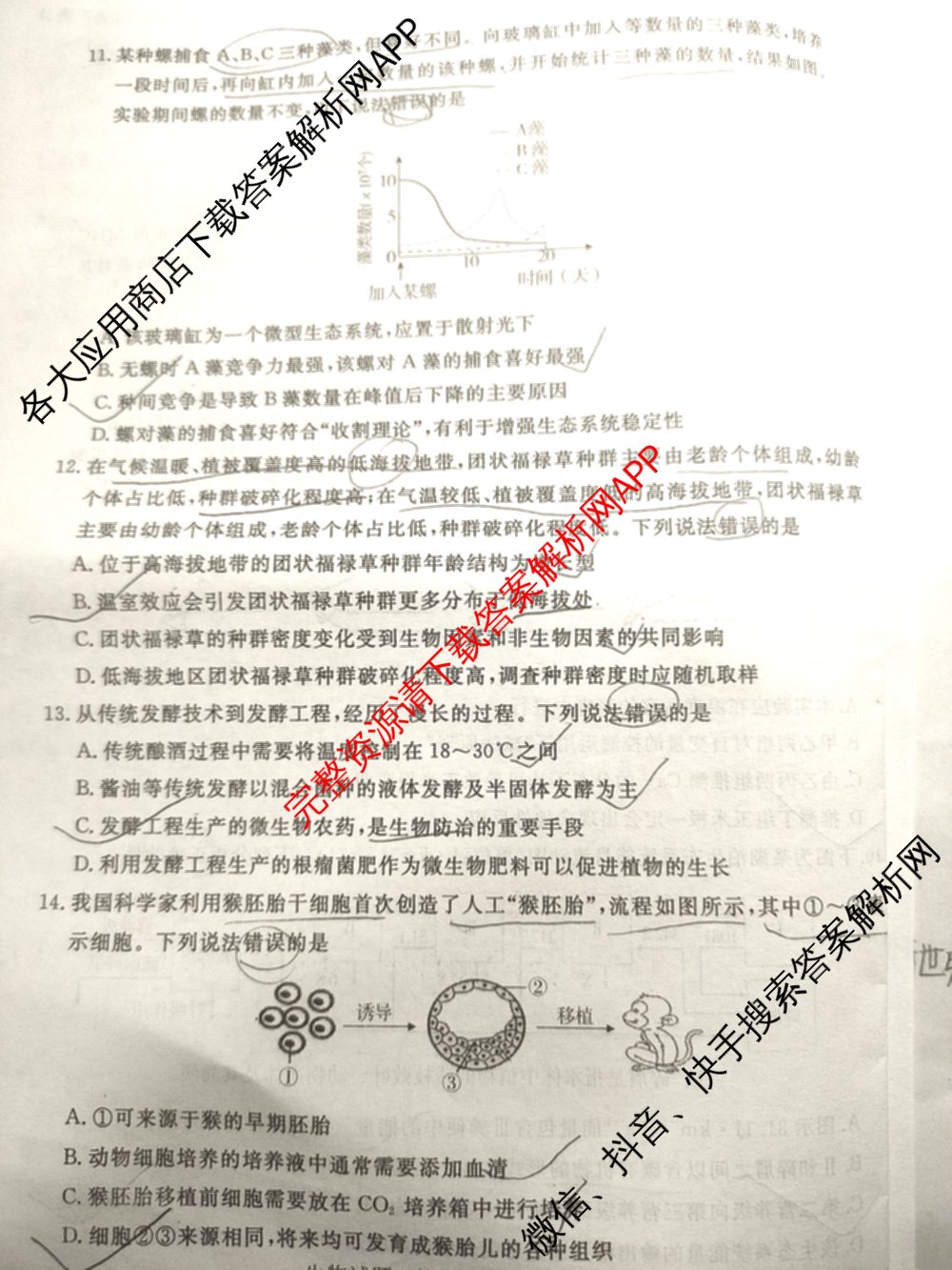 高三山东省济宁市2024年高考模拟考试(2024.05)生物试题 高三山东省济宁市2024年高考模拟考试(2024.05)生物试题