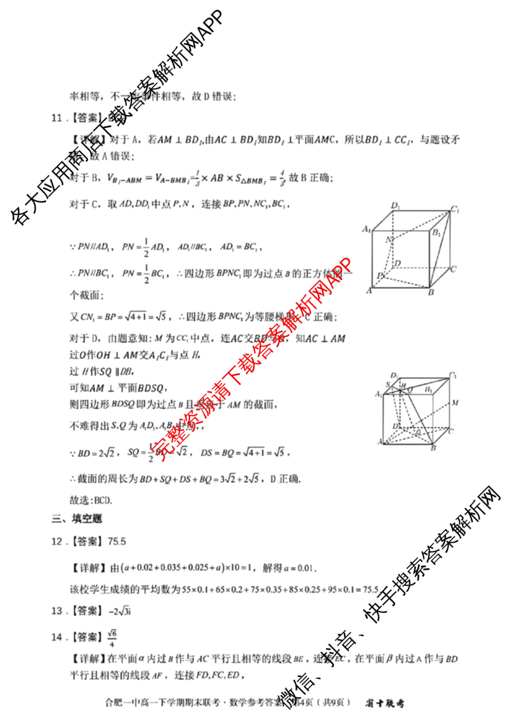 安徽省十联考 合肥一中2023~2024学年度高一下学期期末联考数学答案