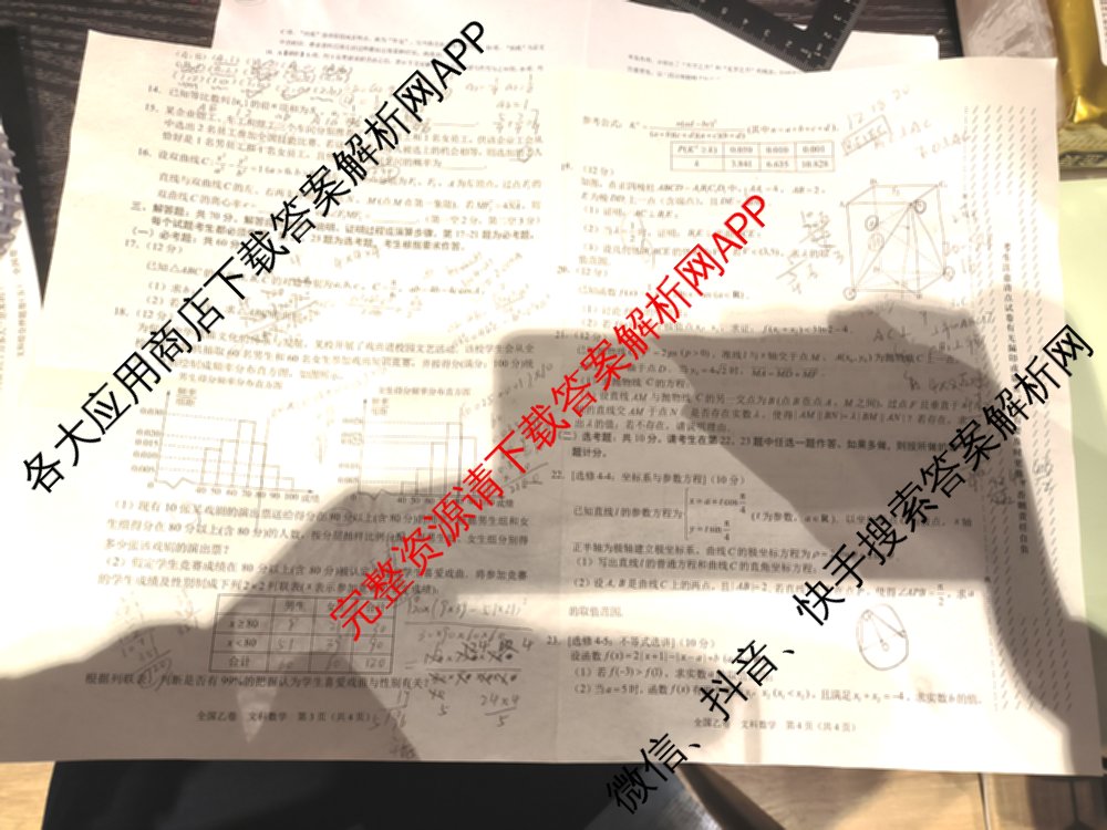 2024届高三5月大联考文数(全国乙卷)试题