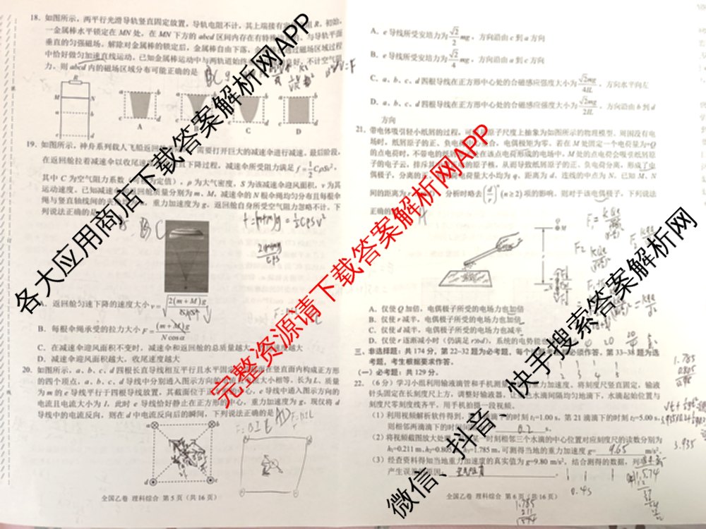 2024届高三5月大联考理综(全国乙卷)试题
