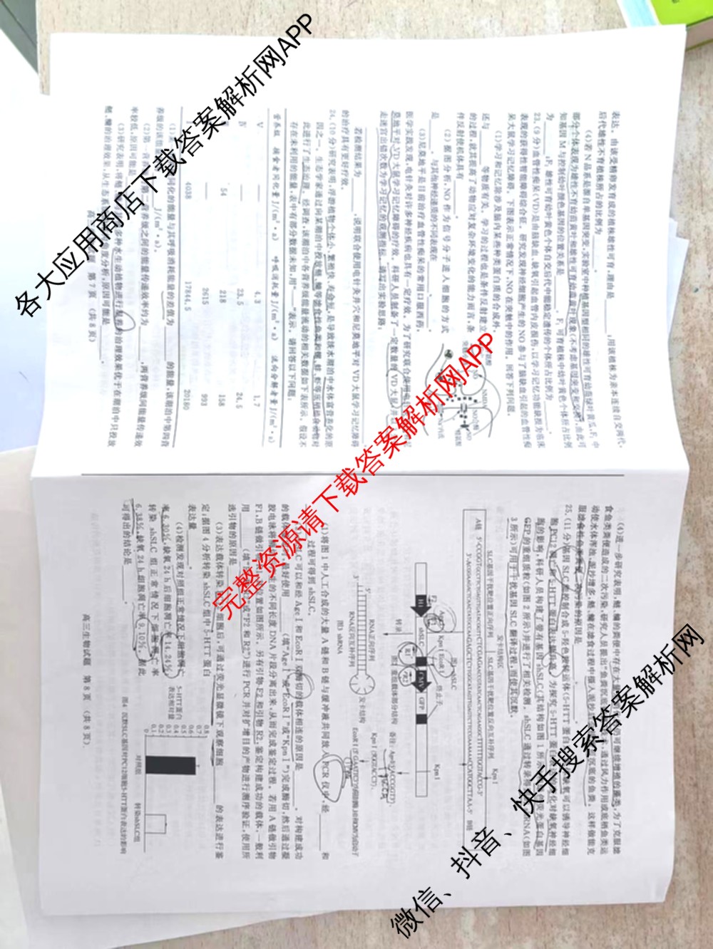 高三山东省济南市2024届高考针对性训练(5月)生物试题 高三山东省济南市2024届高考针对性训练(5月)生物试题