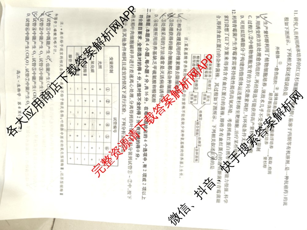 上进联考2023~2024学年高三5月高考适应性大练兵联考生物试题 上进联考2023~2024学年高三5月高考适应性大练兵联考生物试题