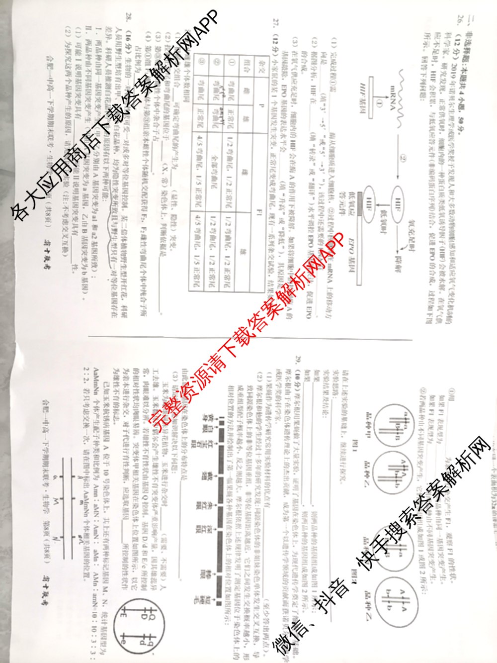 安徽省十联考 合肥一中2023~2024学年度高一下学期期末联考生物试题