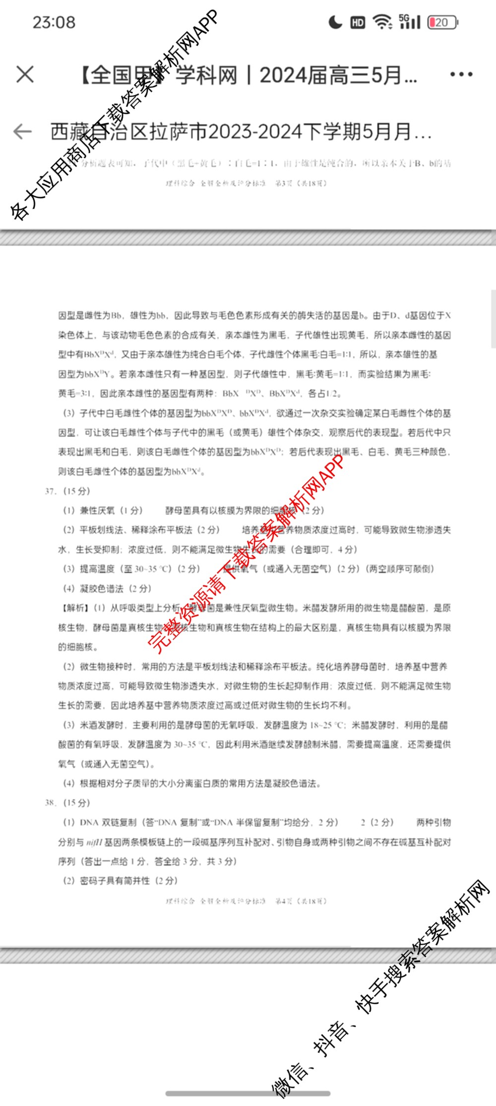 2024届高三5月大联考理综(全国甲卷)答案